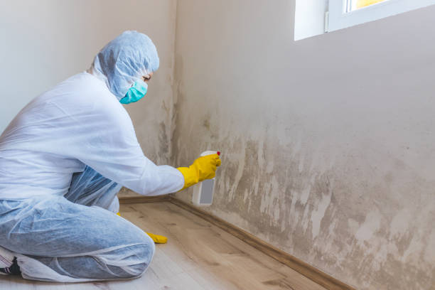 Licensed Crawl Space Mold Removal service in Deer Park, IL - WQB Mold Removal