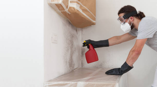Professional Crawl Space Mold Removal technician working in Deer Park, IL