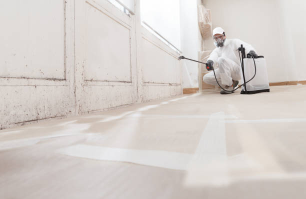 24/7 Emergency Crawl Space Mold Removal experts in Deer Park, IL