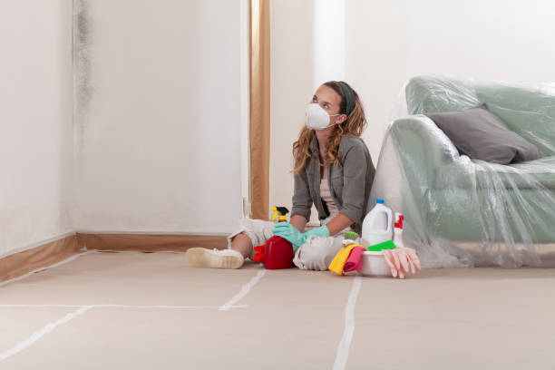 Reliable Crawl Space Mold Removal contractor in Deer Park, IL by WQB Mold Removal